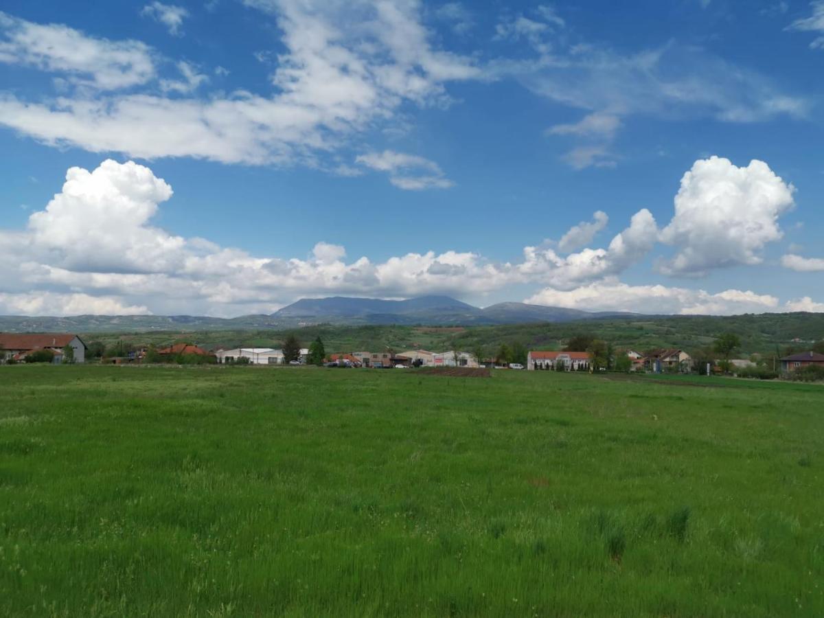 House Milovanovic Sokobanja Buitenkant foto