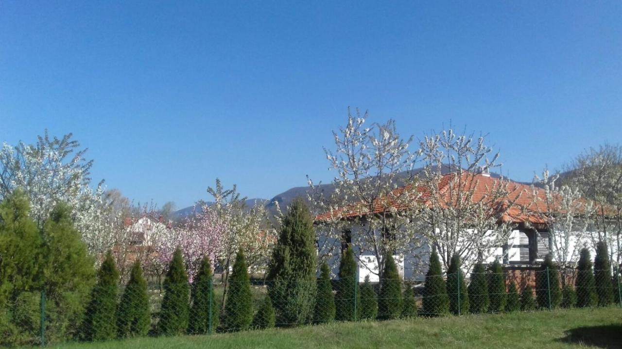 House Milovanovic Sokobanja Buitenkant foto