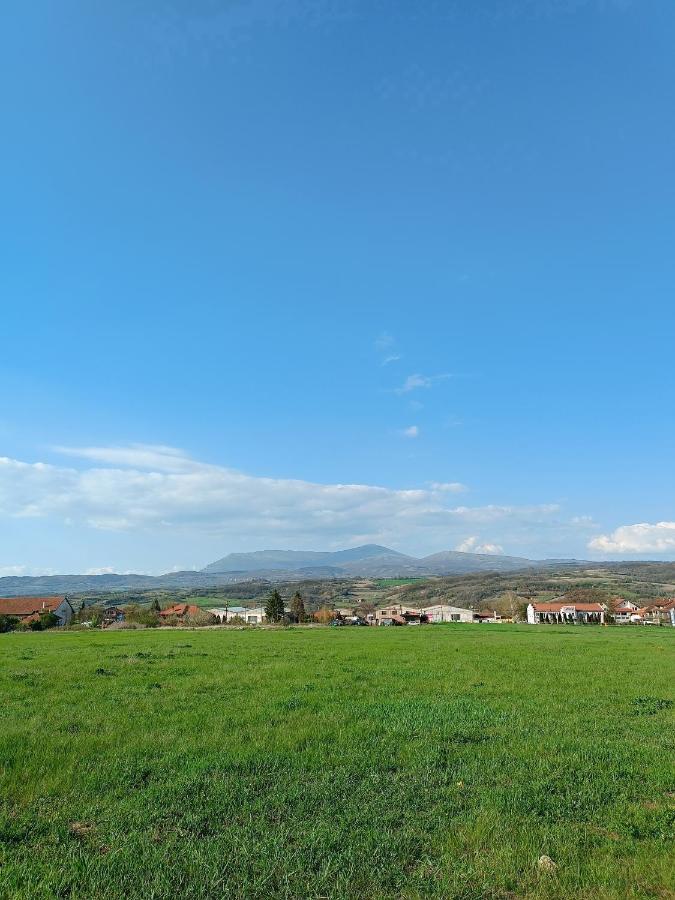 House Milovanovic Sokobanja Buitenkant foto