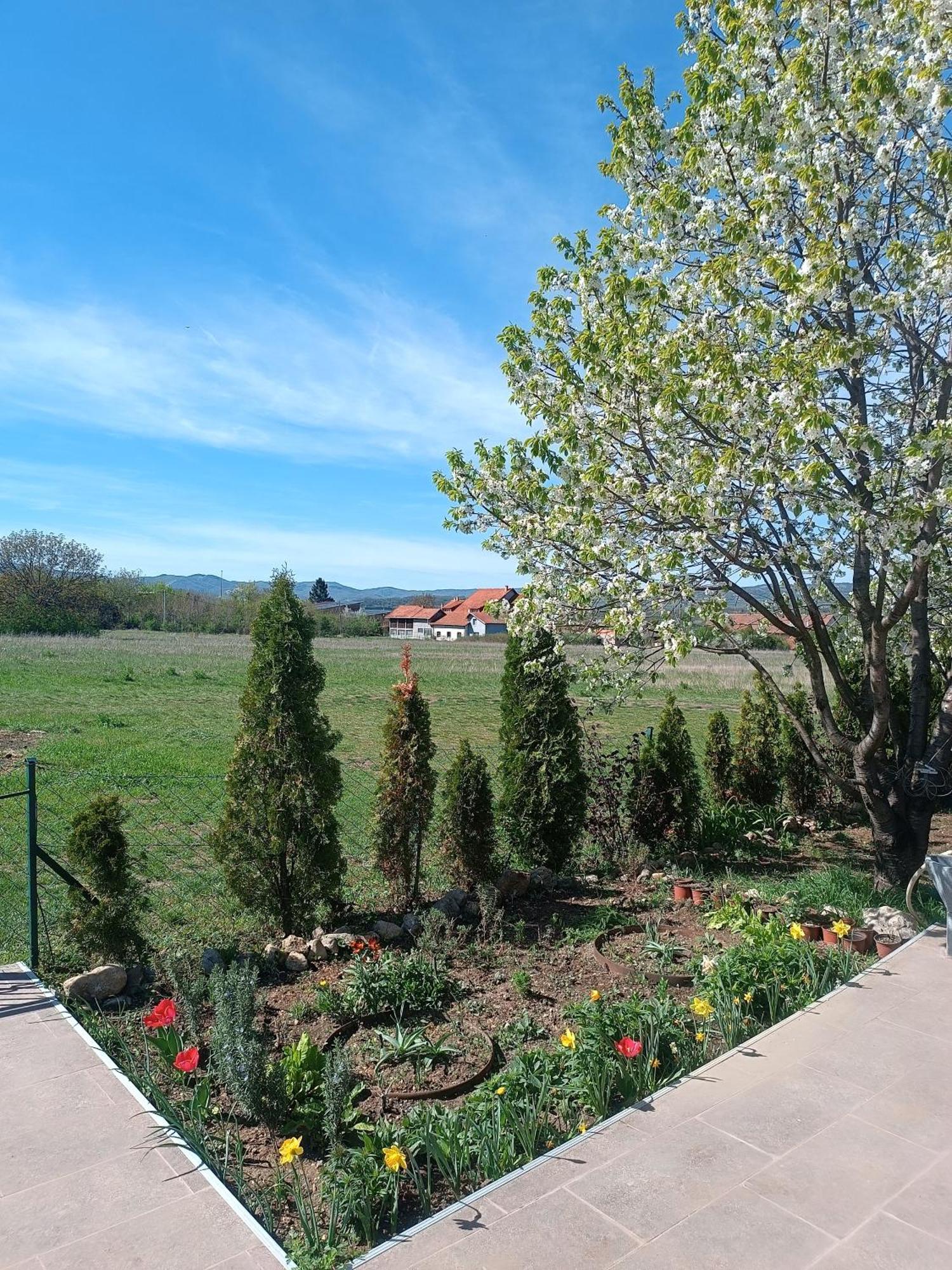 House Milovanovic Sokobanja Buitenkant foto
