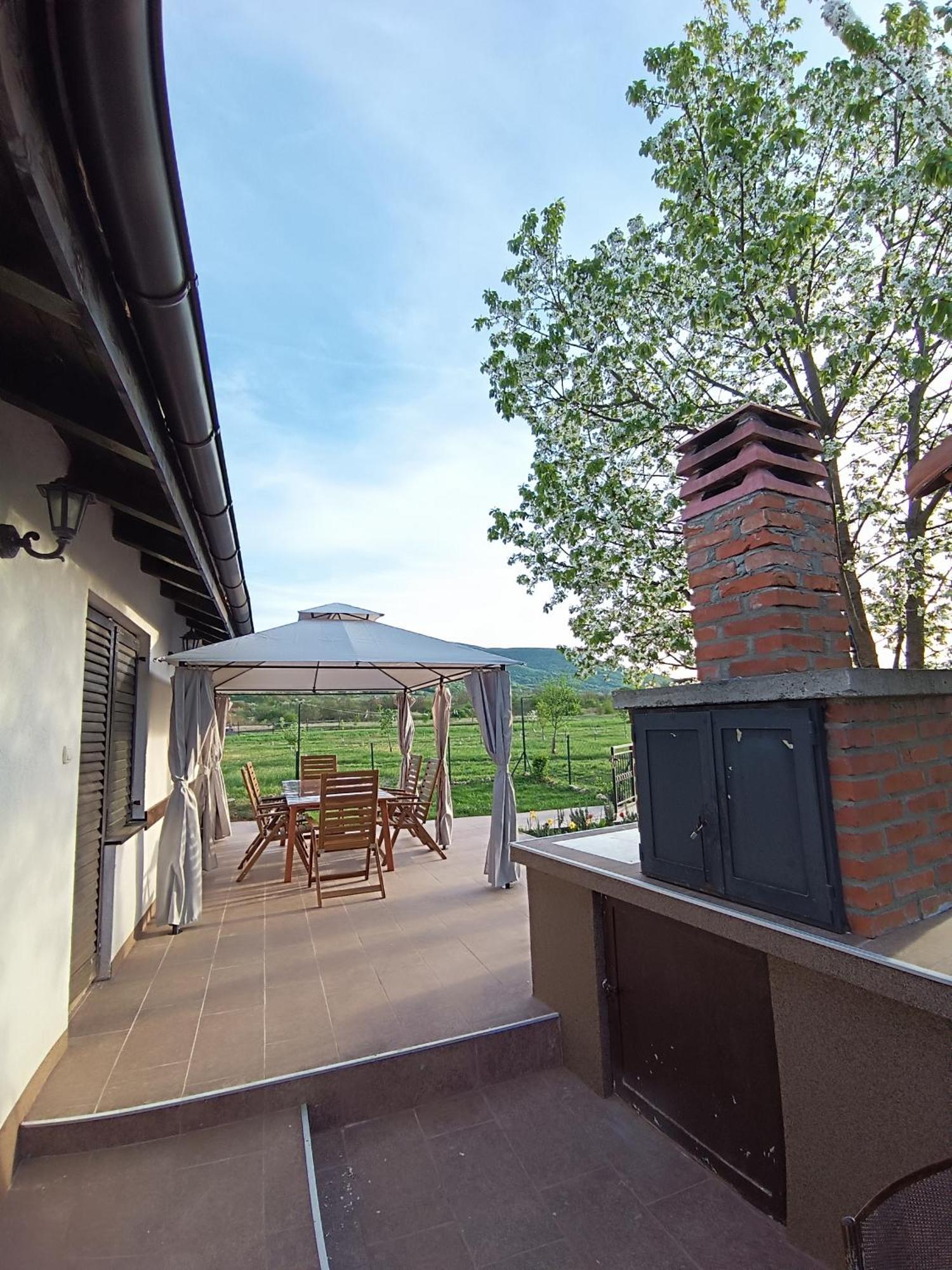 House Milovanovic Sokobanja Buitenkant foto