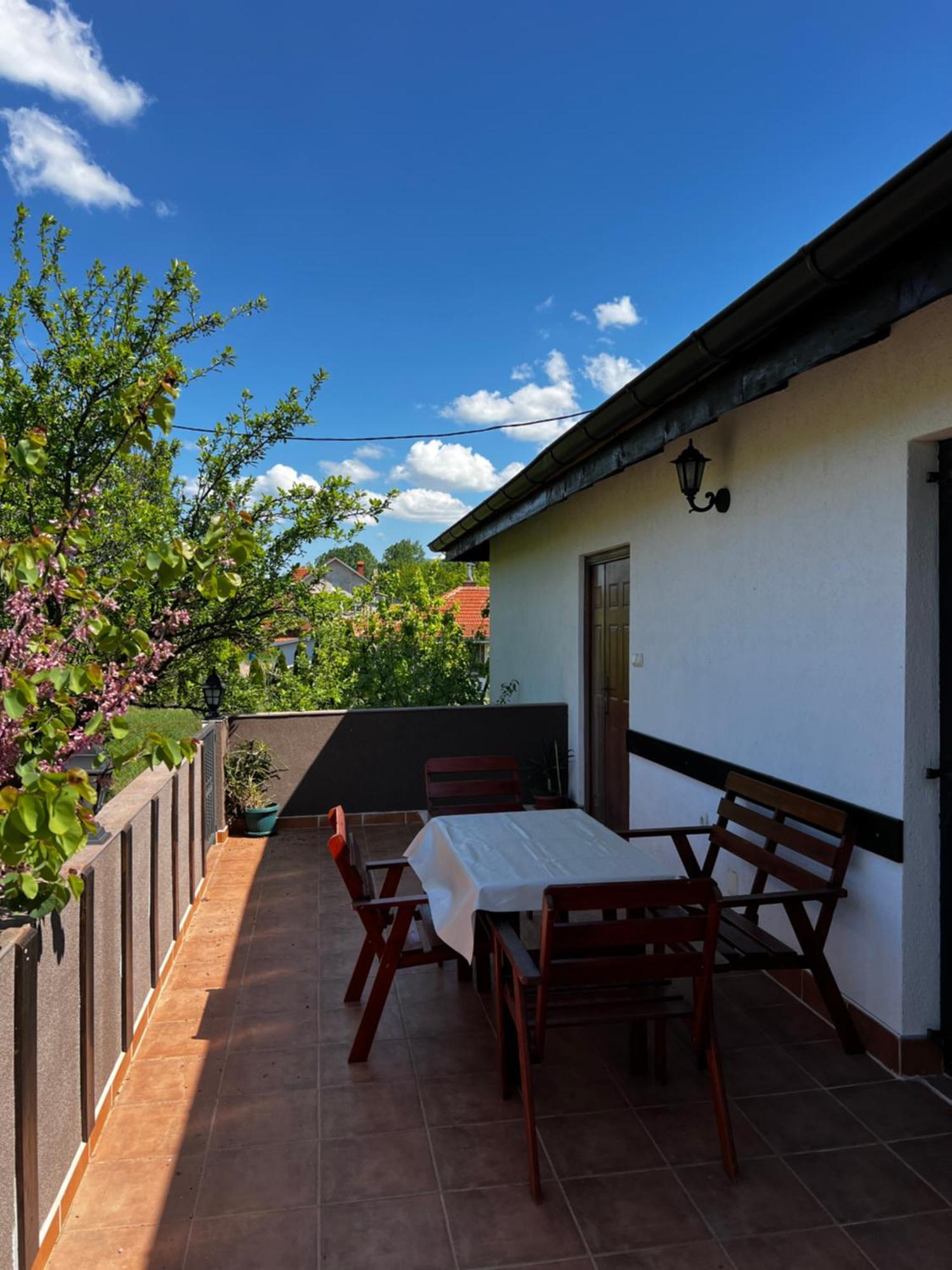 House Milovanovic Sokobanja Buitenkant foto