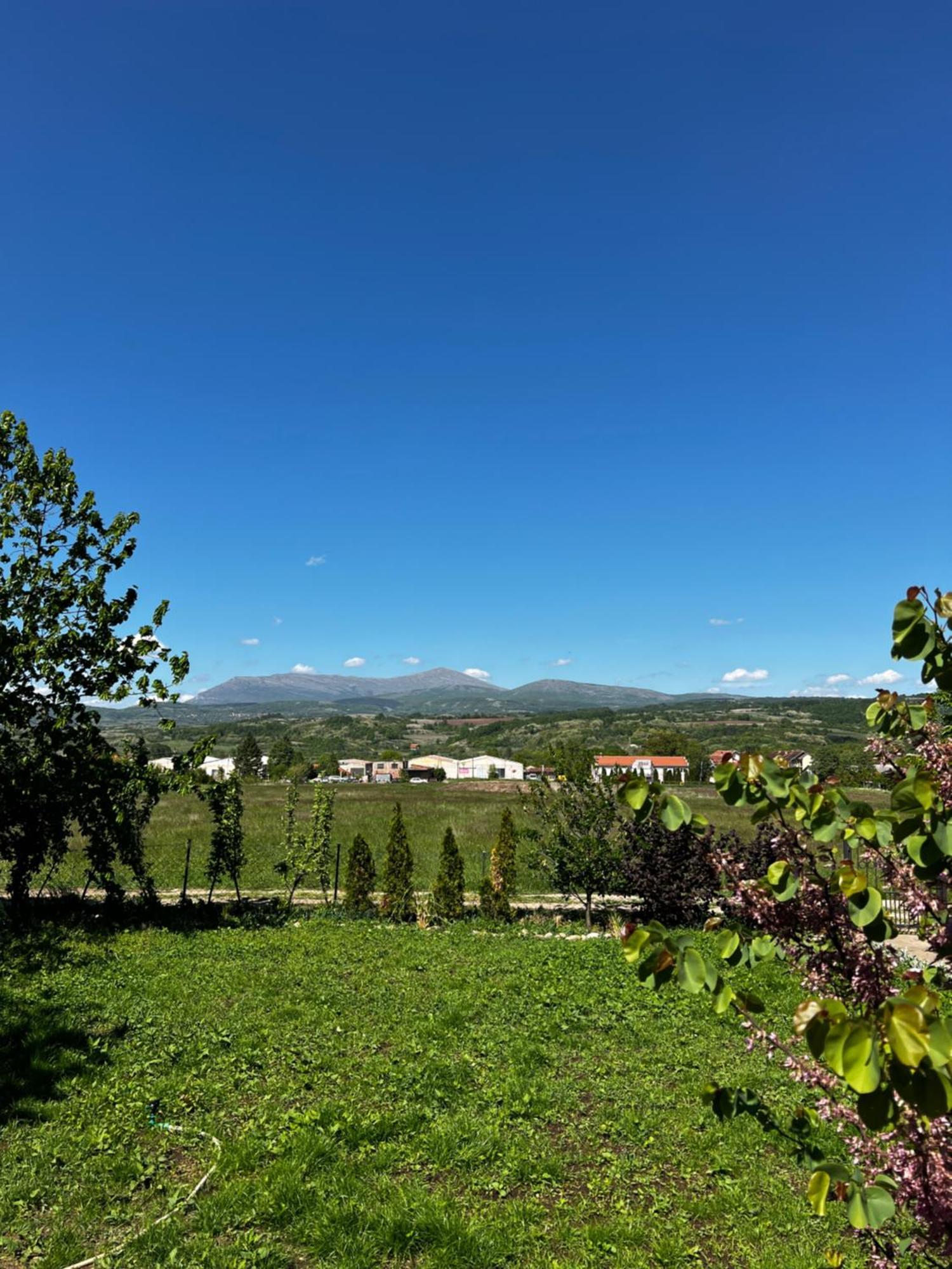 House Milovanovic Sokobanja Buitenkant foto