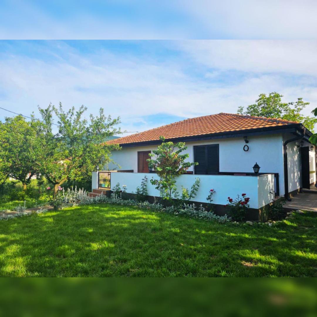 House Milovanovic Sokobanja Buitenkant foto
