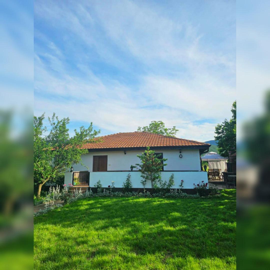 House Milovanovic Sokobanja Buitenkant foto
